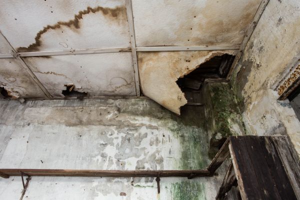 Water Damage Service in Escondido