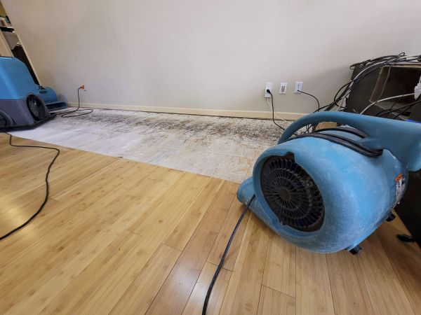 Water Damage Mitigation in Escondido