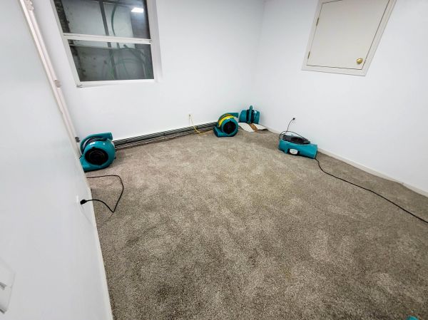 Flood Restoration Service in Escondido